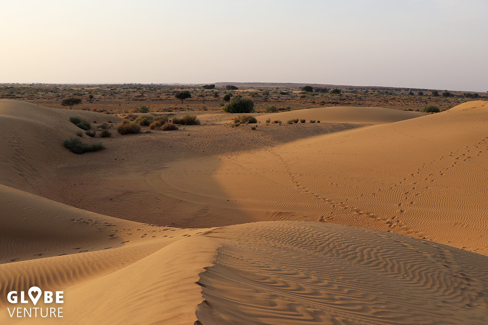 Die Wüste Thar